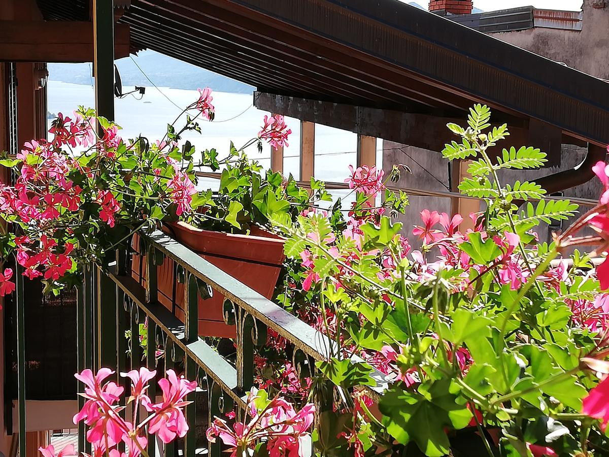 Bed and Breakfast Campino Stresa Zewnętrze zdjęcie